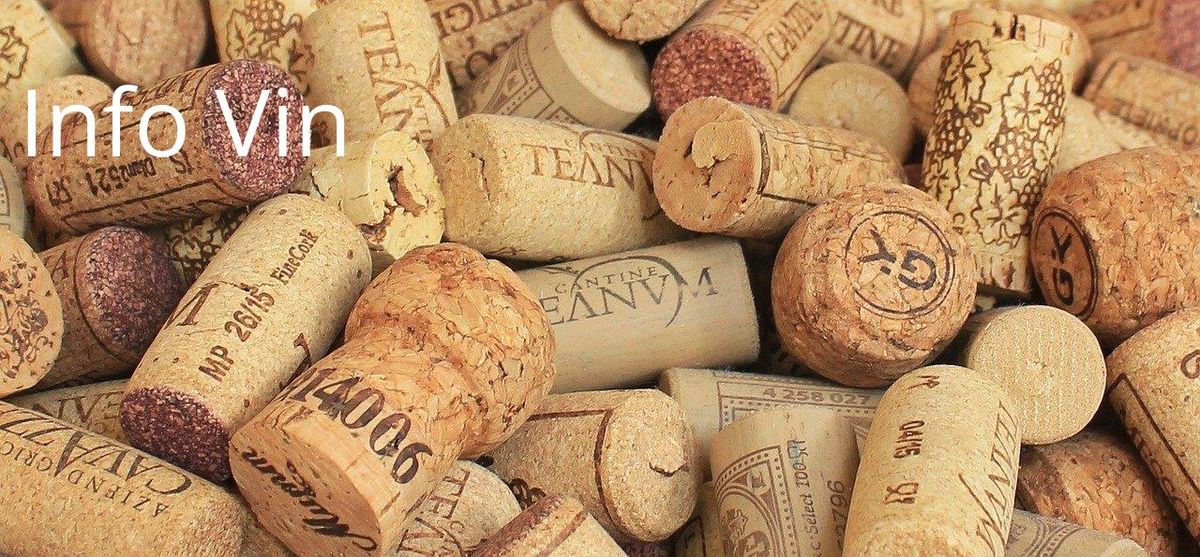 Bouchons, symboles du vin et sources potentielles de goût de bouchon; explorez les alternatives.