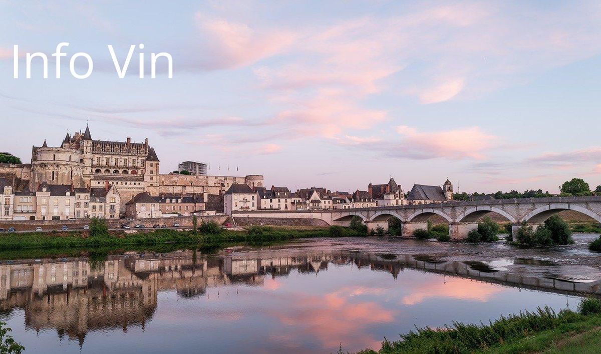 Château sur Loire au crépuscule, reflet du caractère unique des cépages ligériens.