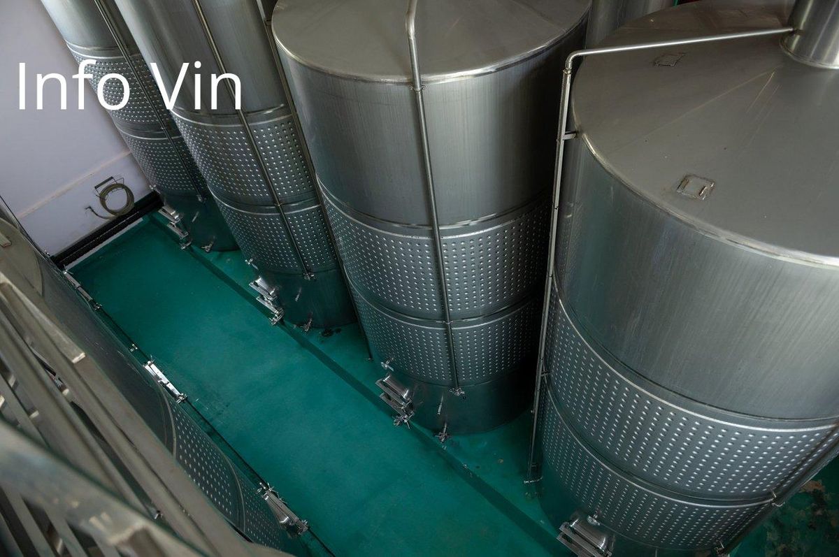 Cuves modernes : la technologie, un frein ou un atout pour la digitalisation viticole ?