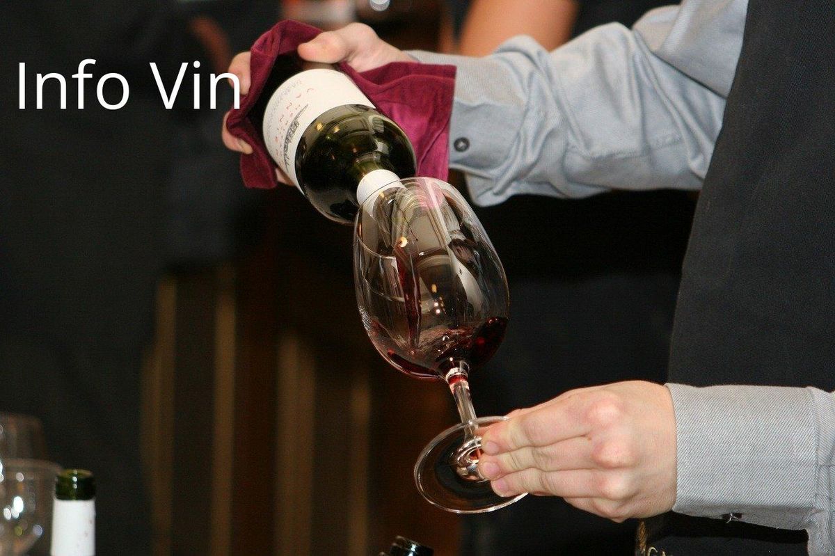 Dégustation précise : l'art de verser sublime l'expérience sensorielle du vin.