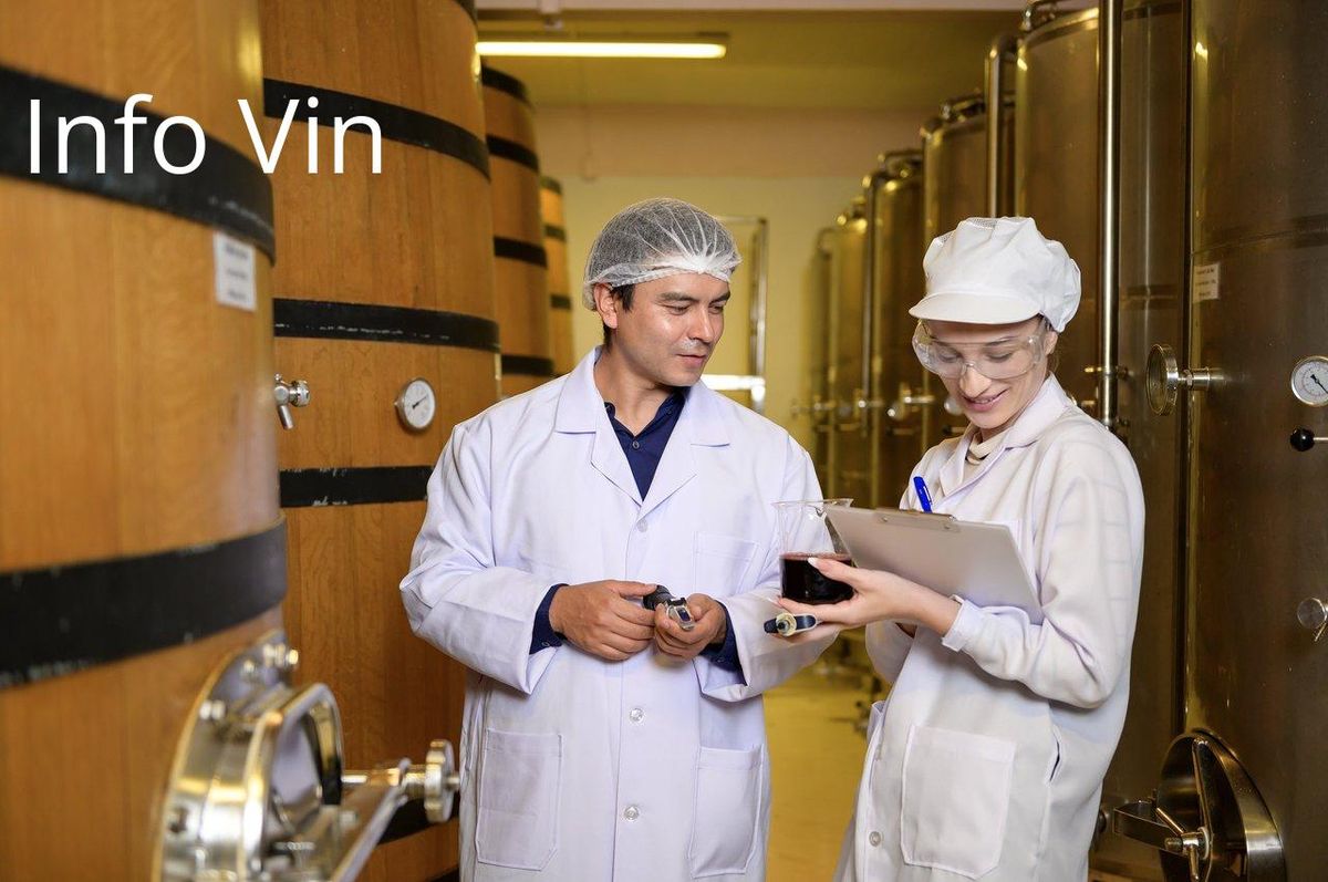 Expertise et technologie en action : la vinification moderne à son apogée.