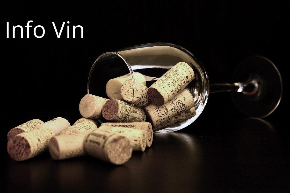 Exploration des vins italiens : les bouchons racontent leur histoire unique.