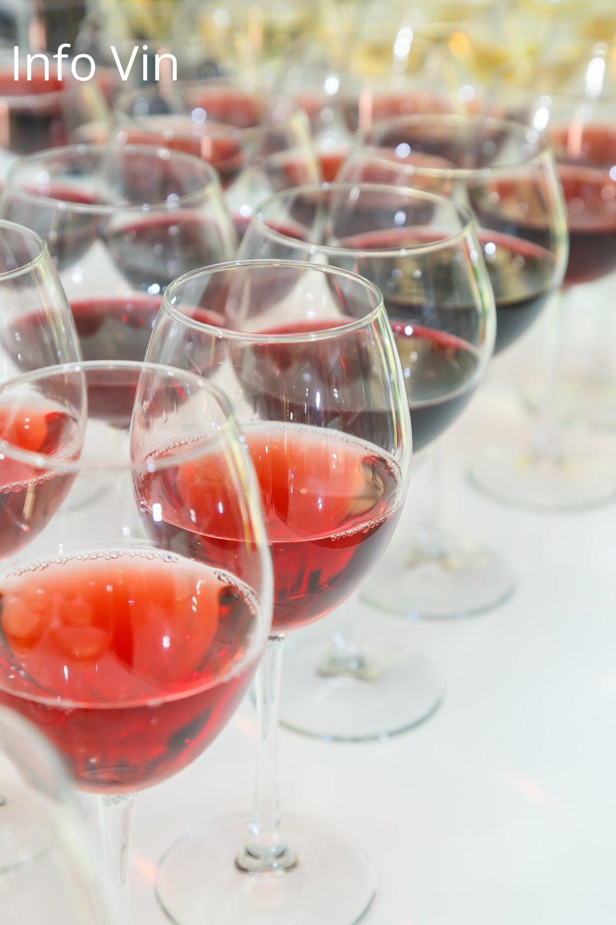 Festival de rouges éclatants, préambule aux trésors de ProWein et Vinitaly, stars du printemps!