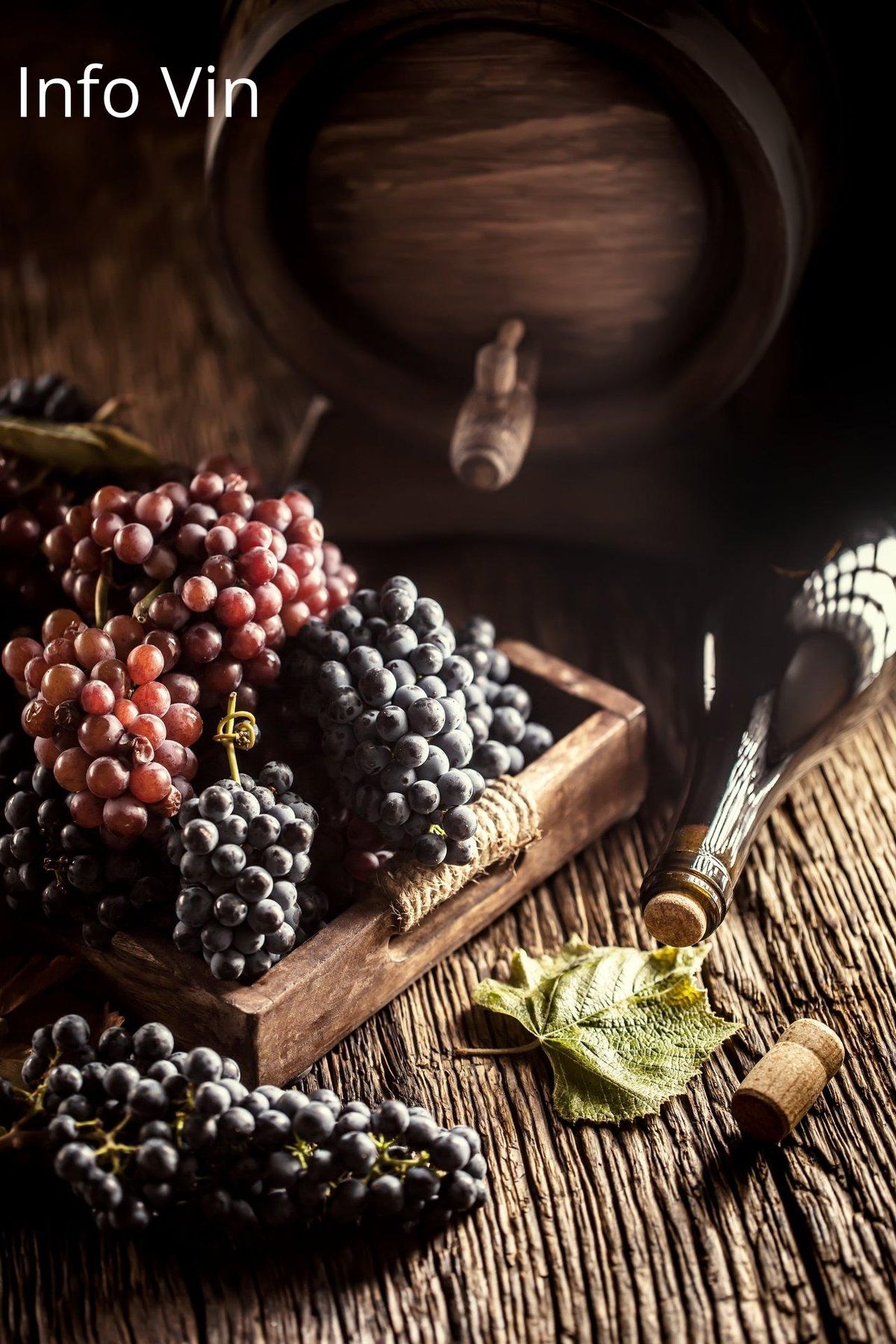 Grappes et barrique illustrent l'héritage vinicole transmis par Christian et Dany.