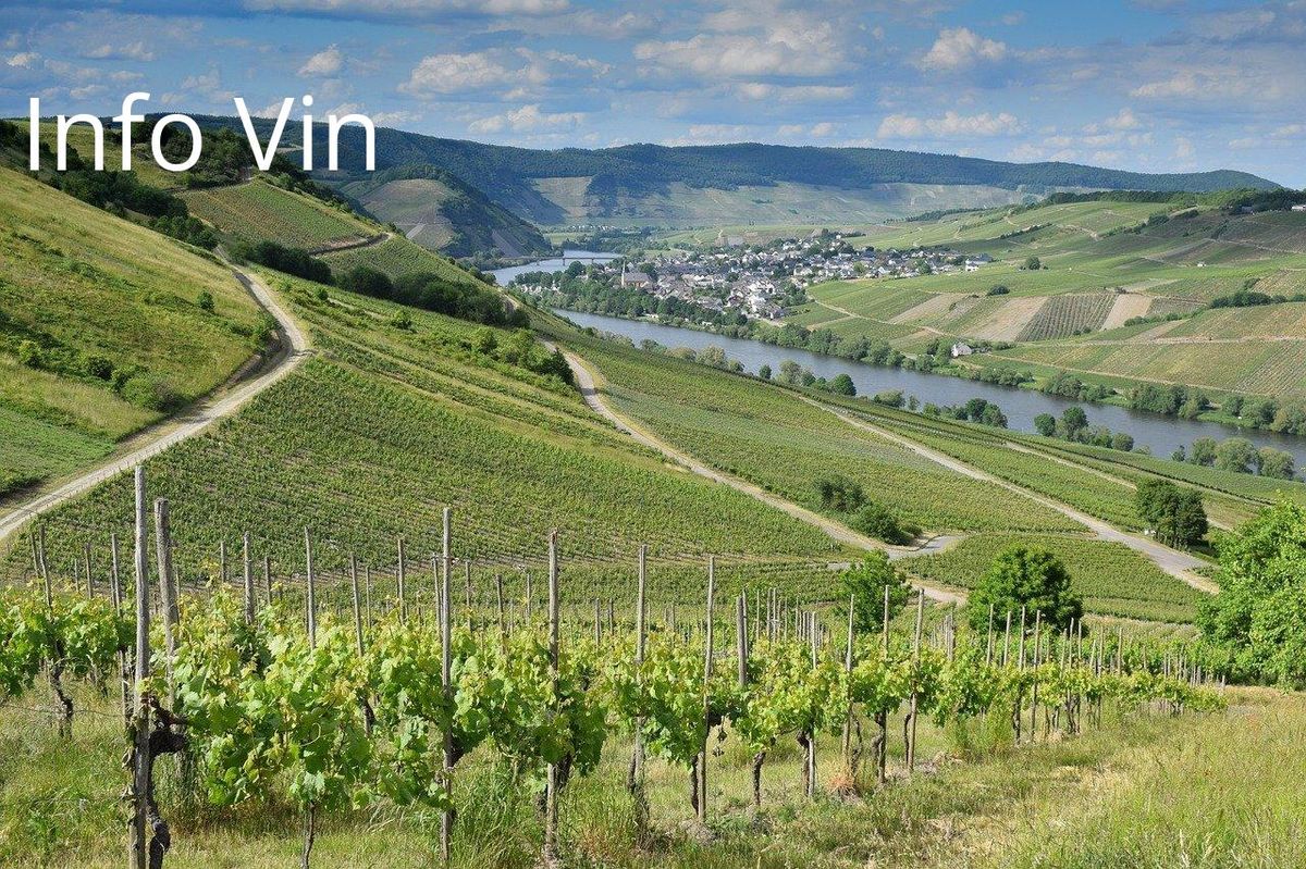 Paysage viticole: un potentiel de terroirs uniques façonne l'avenir des vins français.