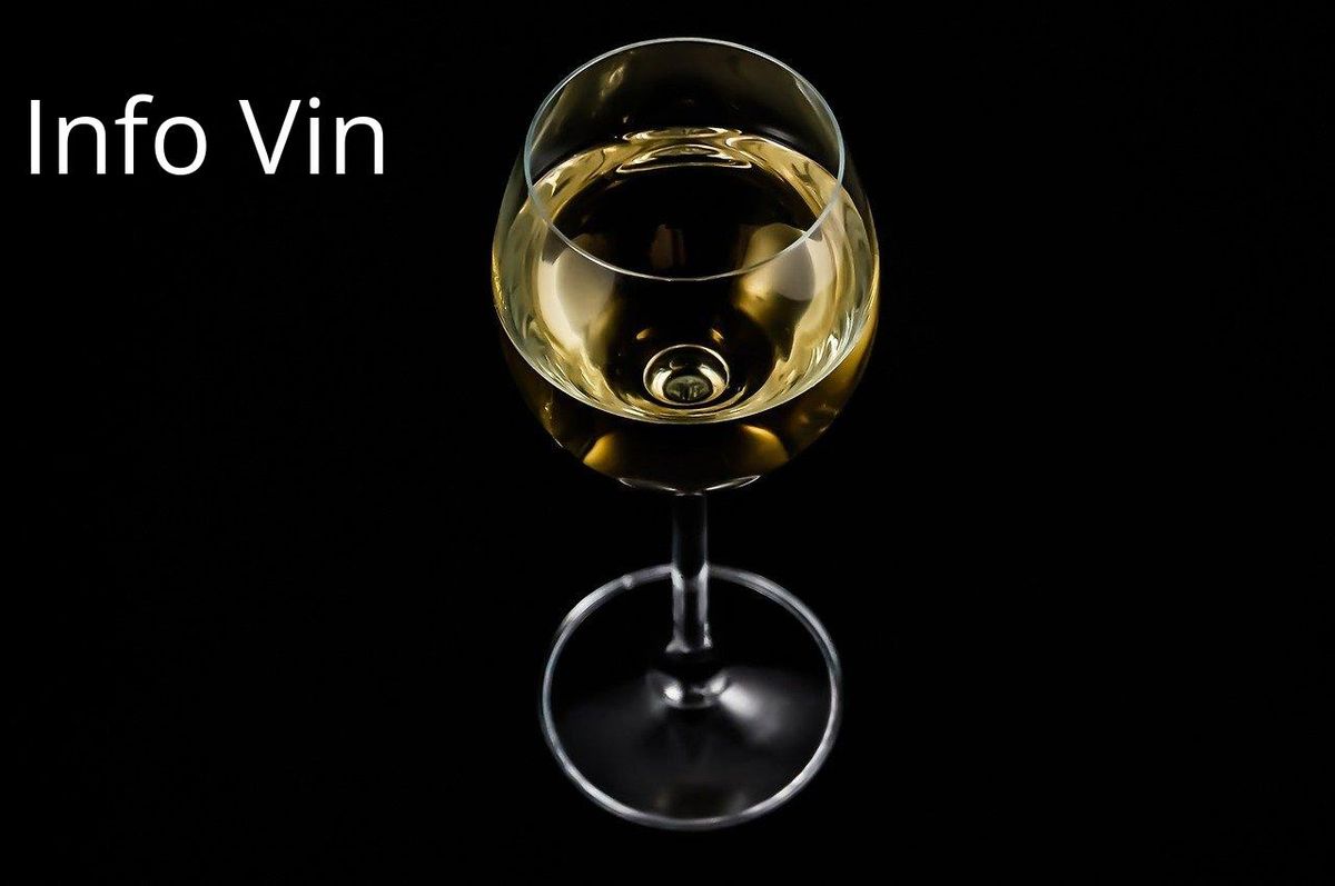 Retour triomphant des blancs : élégance et légèreté redéfinissent le vin moderne.