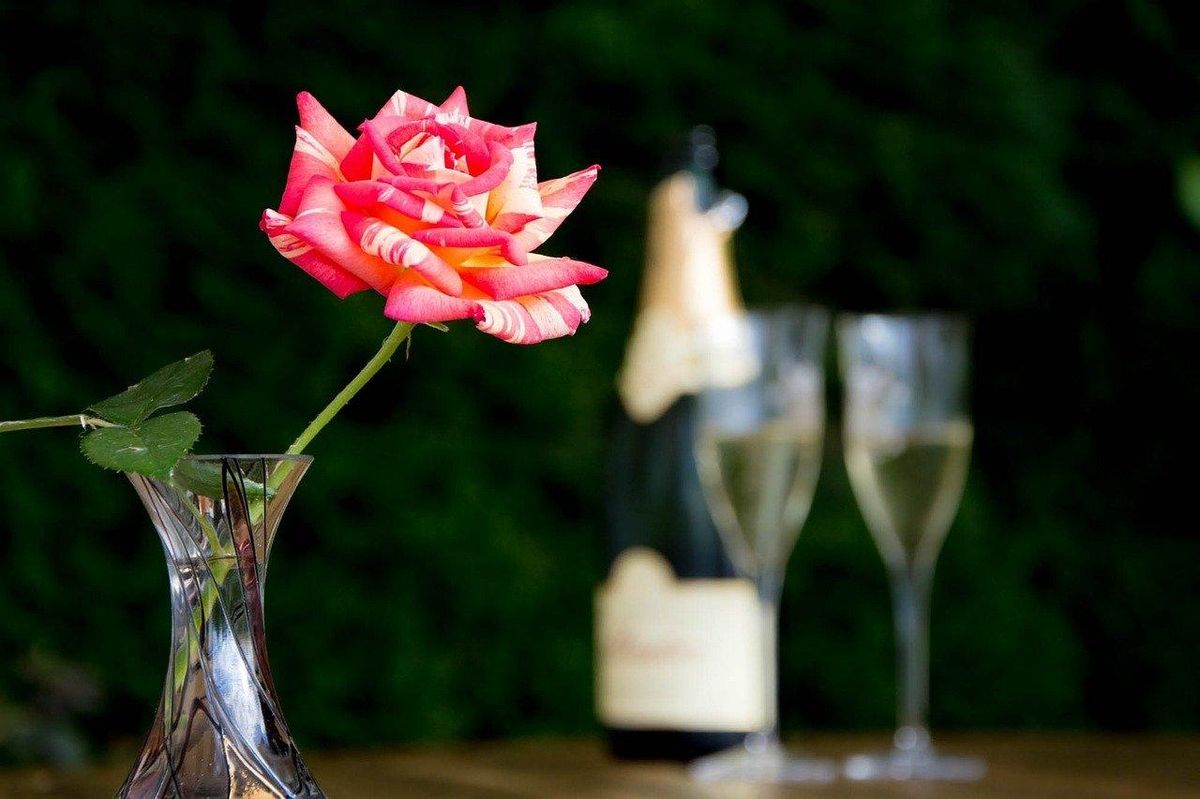 Rose en vase et flûtes de champagne, parfait pour célébrer avec élégance en toute occasion.