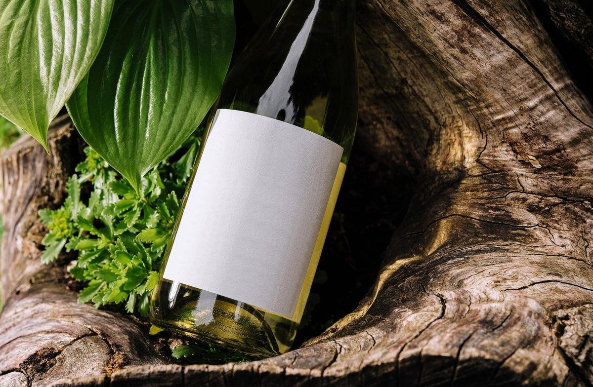 Sélection de vins bio et locaux, dont une bouteille de vin blanc sur un tronc d’arbre en pleine nature.