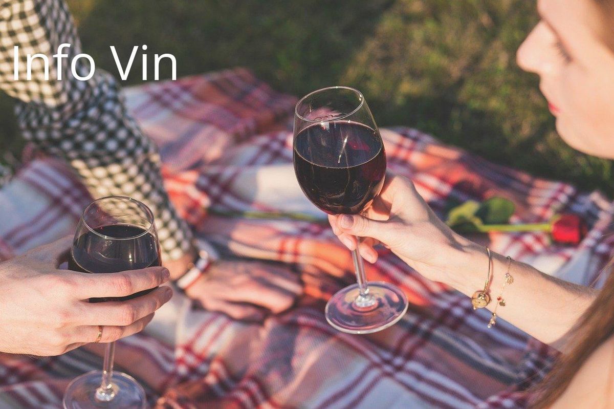 Un pique-nique moderne : le vin acheté en ligne sublime l'instant.