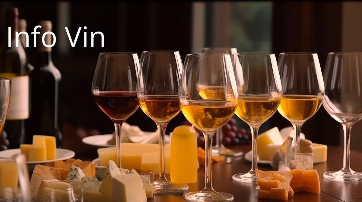 Un voyage sensoriel : chaque étape du vin illustrée par des verres et fromages affinés.