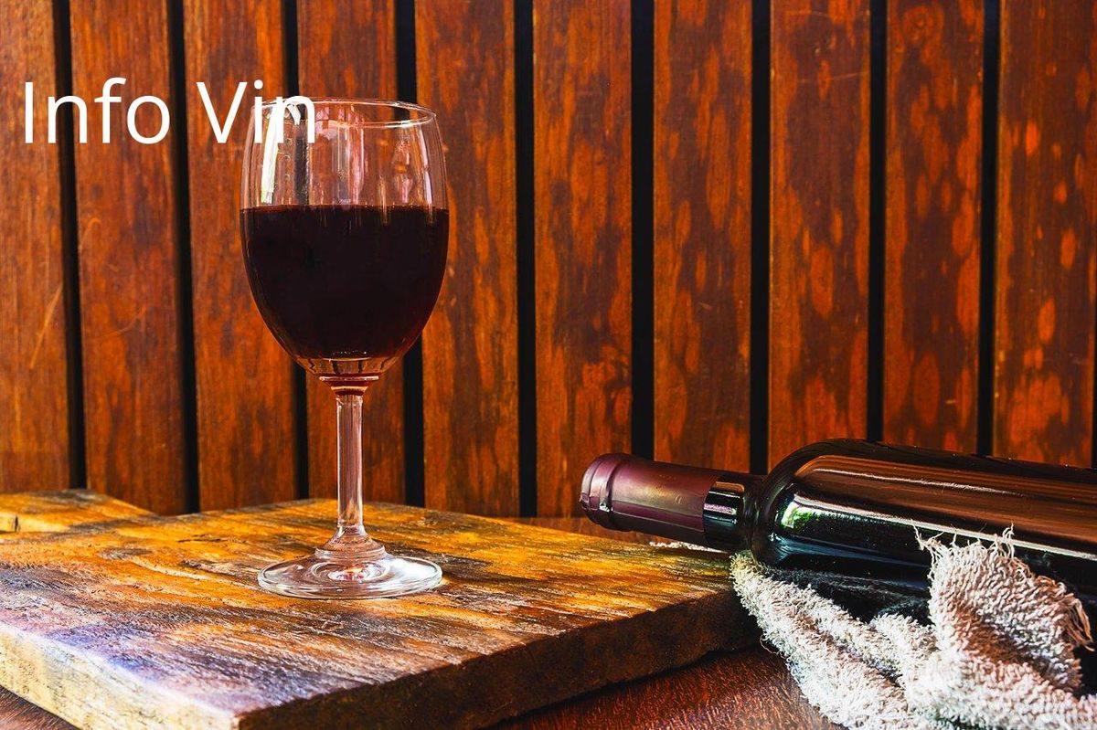 Vin et ambiance boisée: l'art de choisir les vins pour une dégustation réussie.