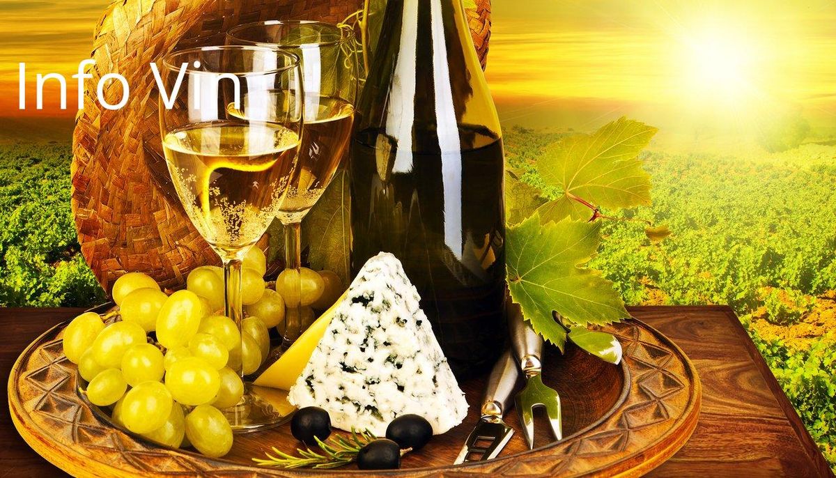 Vin, fromage et raisin : l’essence du terroir AOP sous un coucher de soleil éclatant.