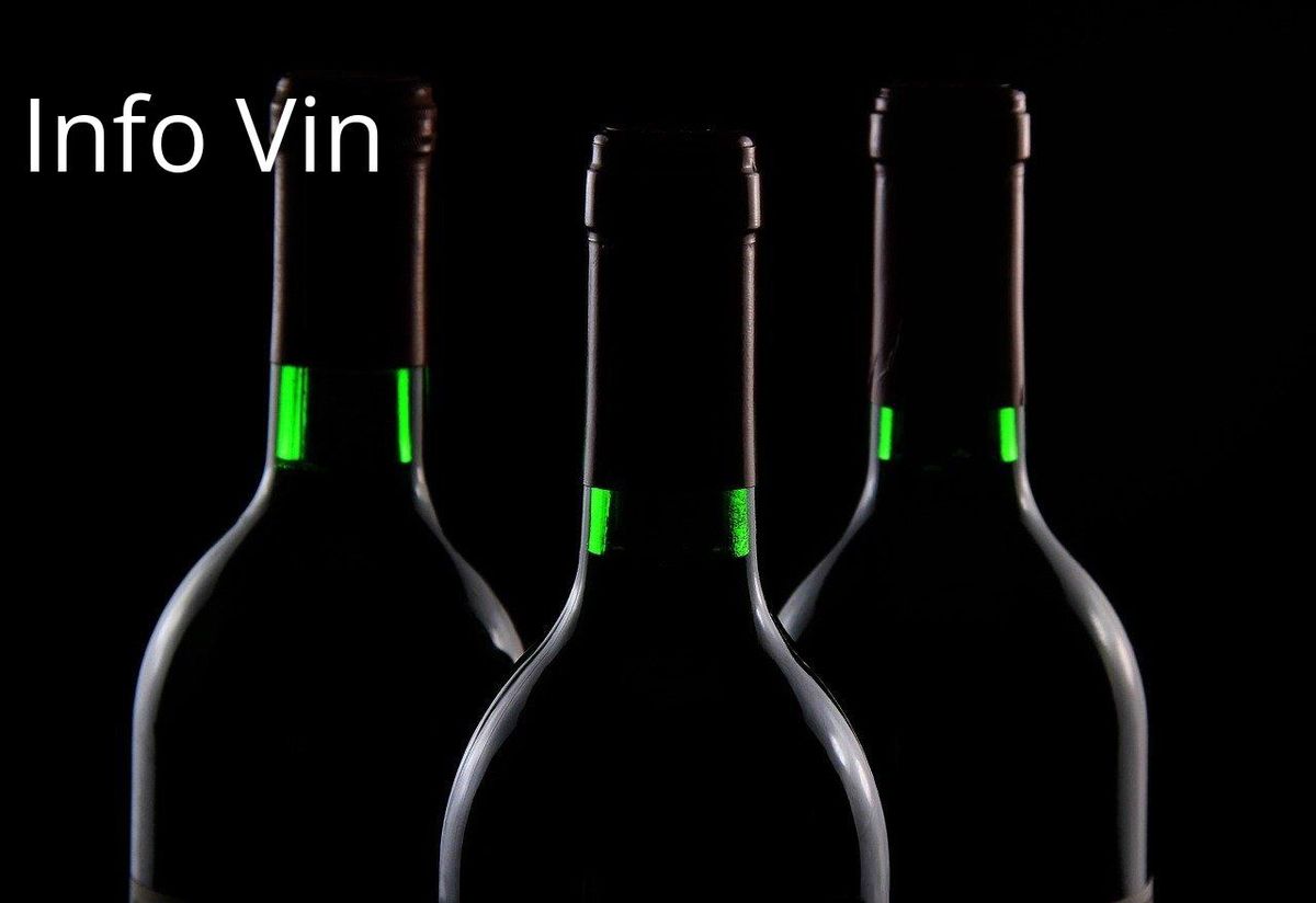 Vins délicieux et crustacés : l'accord parfait des saveurs maritimes.