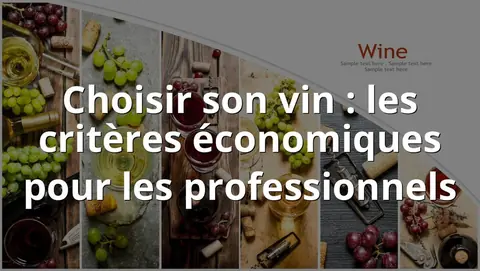 Choisir son vin : les critères économiques pour les professionnels