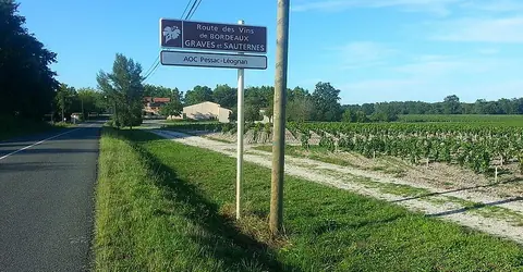 Comment visiter les beaux vignobles bordelais ?