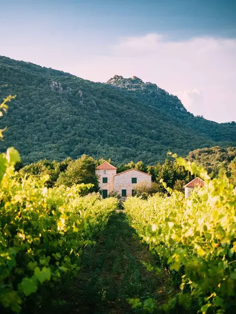 Domaine de la Pigeade – Petits grains de folie 2011