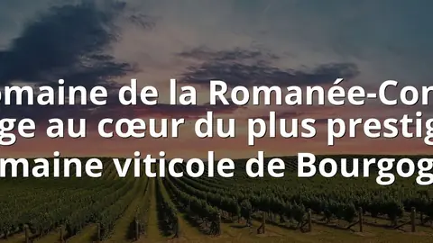 Domaine de la Romanée-Conti: voyage au cœur du plus prestigieux domaine viticole de Bourgogne