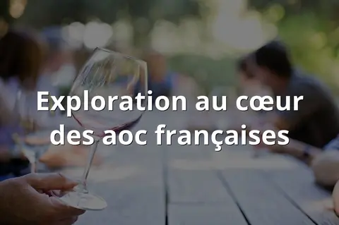 Exploration au cœur des aoc françaises