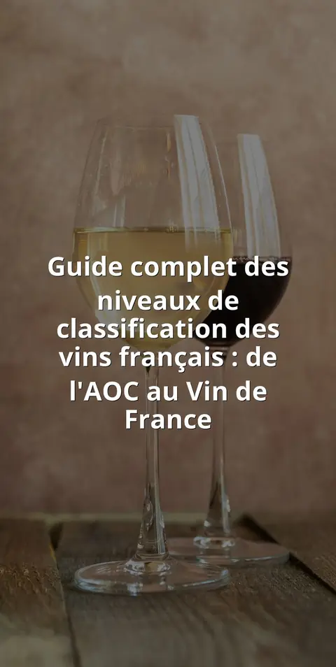 Guide complet des niveaux de classification des vins français : de l'AOC au Vin de France
