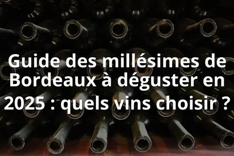 Guide des millésimes de Bordeaux à déguster en 2025 : quels vins choisir ?