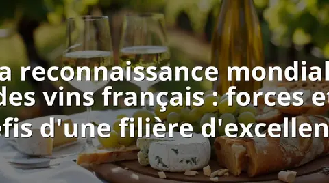 La reconnaissance mondiale des vins français : forces et défis d'une filière d'excellence