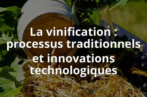 La vinification : processus traditionnels et innovations technologiques