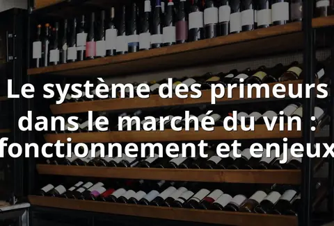 Le système des primeurs dans le marché du vin : fonctionnement et enjeux