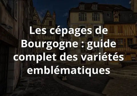 Les cépages de Bourgogne : guide complet des variétés emblématiques