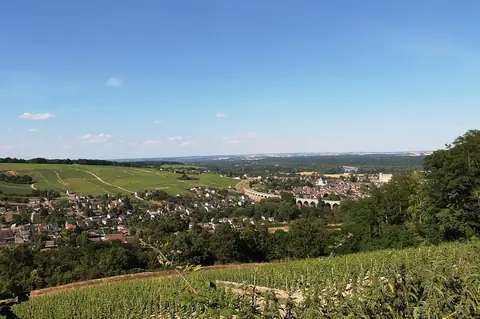 Les merveilles des vins de Loire : une richesse à découvrir