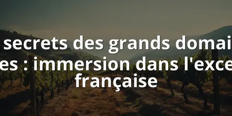 Les secrets des grands domaines viticoles : immersion dans l'excellence française