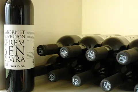 Pourquoi choisir une cave à vins encastrable ?