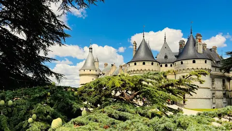 Route des Vins de Loire : pourquoi est-elle incontournable aujourd'hui ?