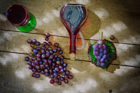 Tout savoir sur la viticulture en biodynamie