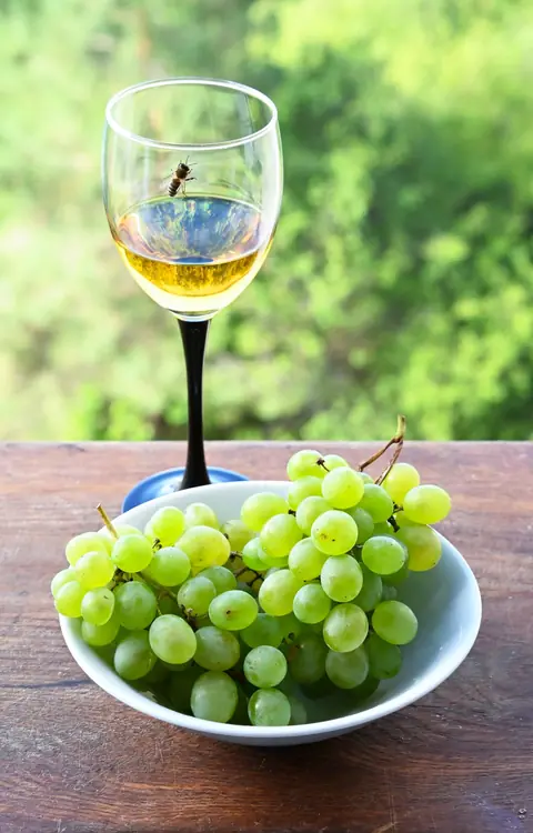 Vins blancs