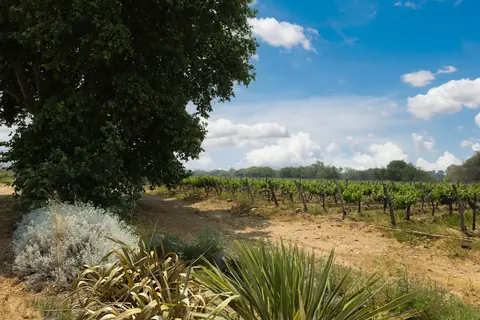 Languedoc-Roussillon
