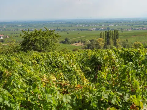 Bourgogne