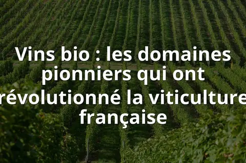 Vins bio : les domaines pionniers qui ont révolutionné la viticulture française